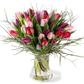 Bouquet of mixed tulips