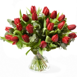 White tulips